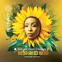Natural Born Chillers 2